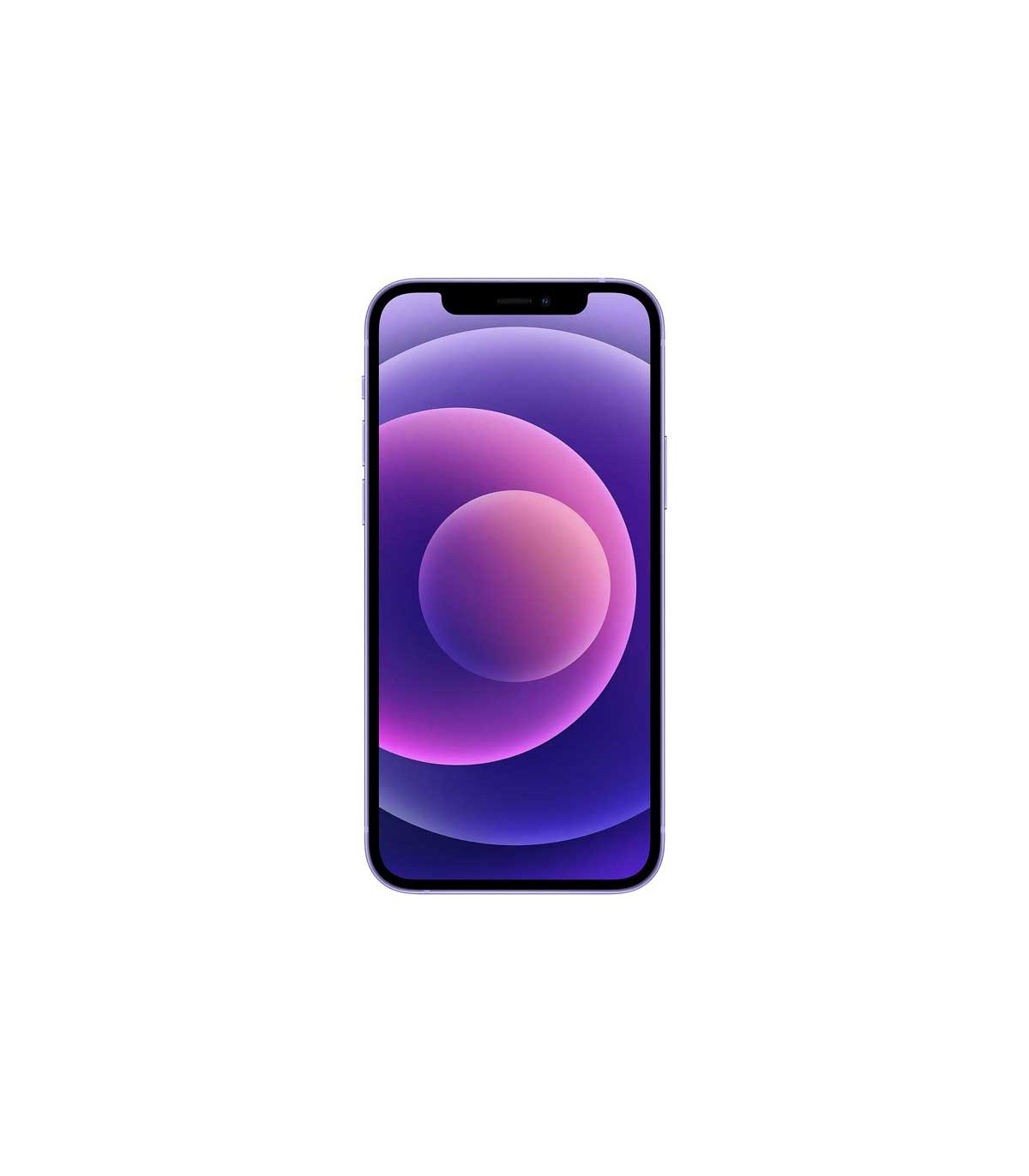 iPhone 12 Mini purpura frontal