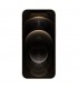 iPhone 12 Pro Max Oro frontal