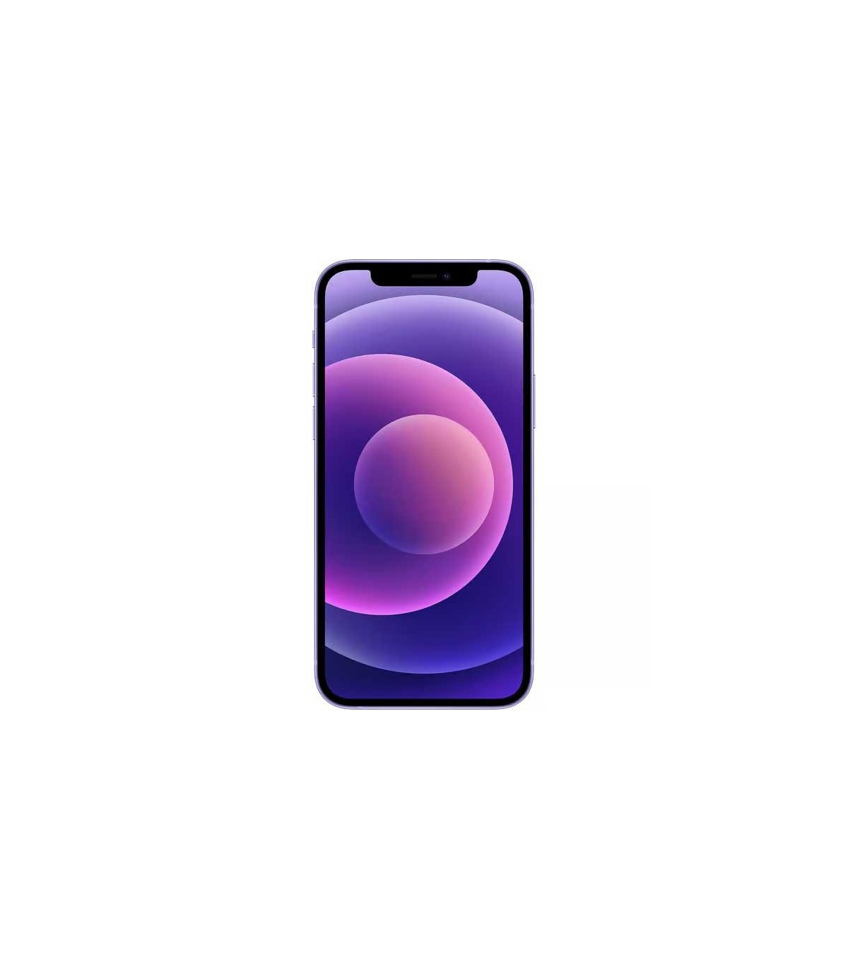 iPhone 12 purpura frontal